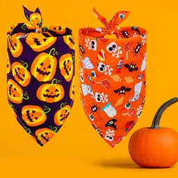 image-NEW PRODUCT Halloween style bibs for pets