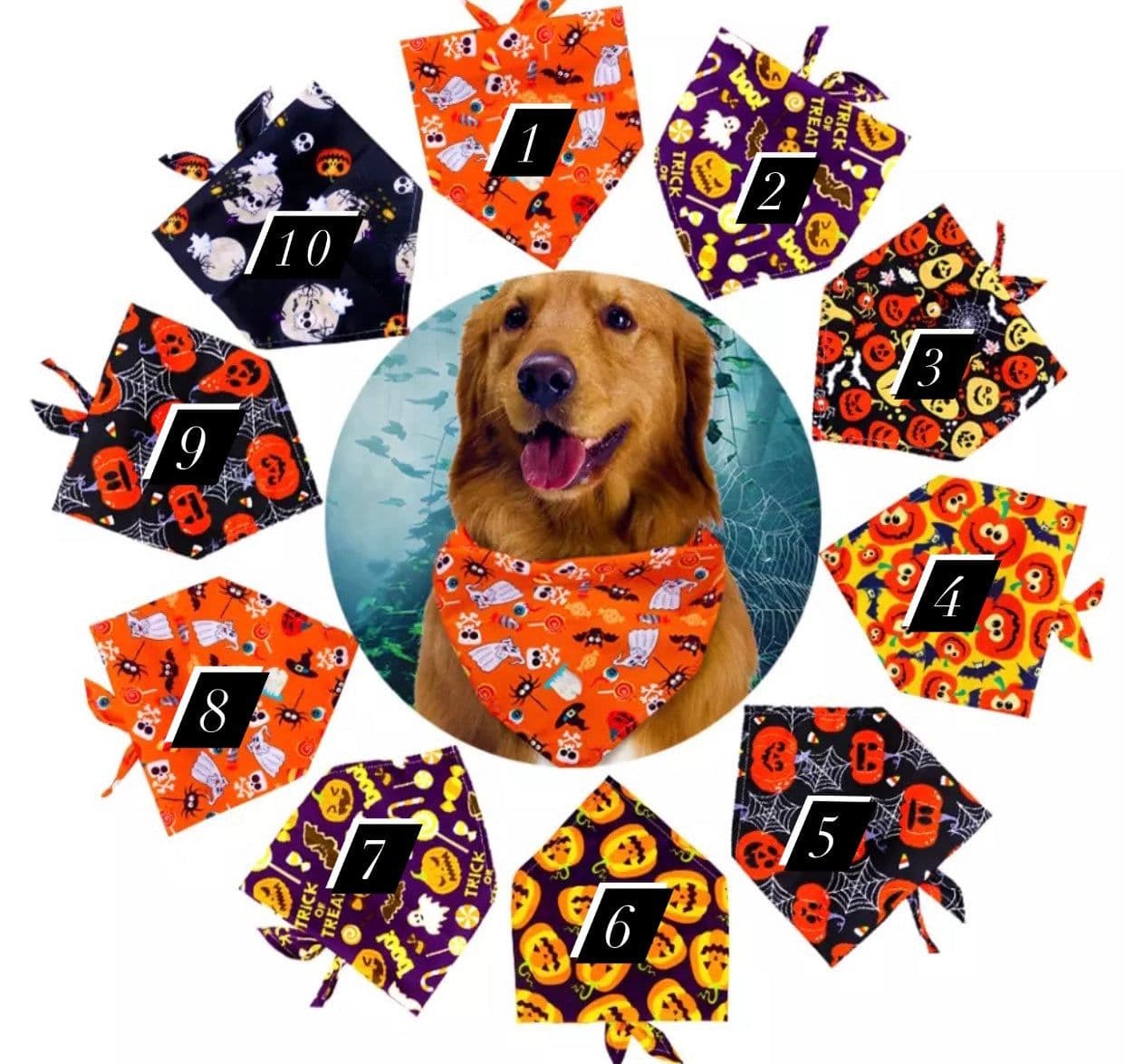image-NEW PRODUCT Halloween style bibs for pets