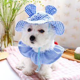 image-Elegant Dress Beautiful Princess Dress for Pets Beach Wear Whole Set (Hat and Bib)