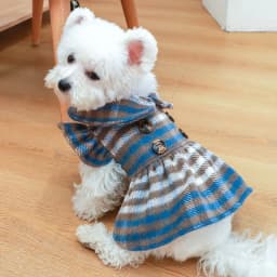 image-Elegant Dress Beautiful Princess Dress for Pets Party Wear
