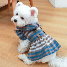image-Elegant Dress Beautiful Princess Dress for Pets Party Wear
