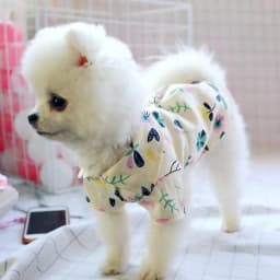 image-Elegant Pajamas for Pets Casual Wear