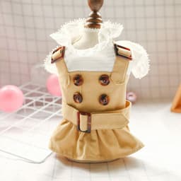 image-Elegant Dress Beautiful Princess Dress for Pets Party Wear