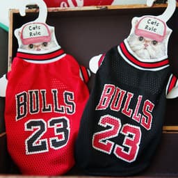 image-Halloween Pet Cosplay Costume Cat & Dog Outfits- Basketball LOVE