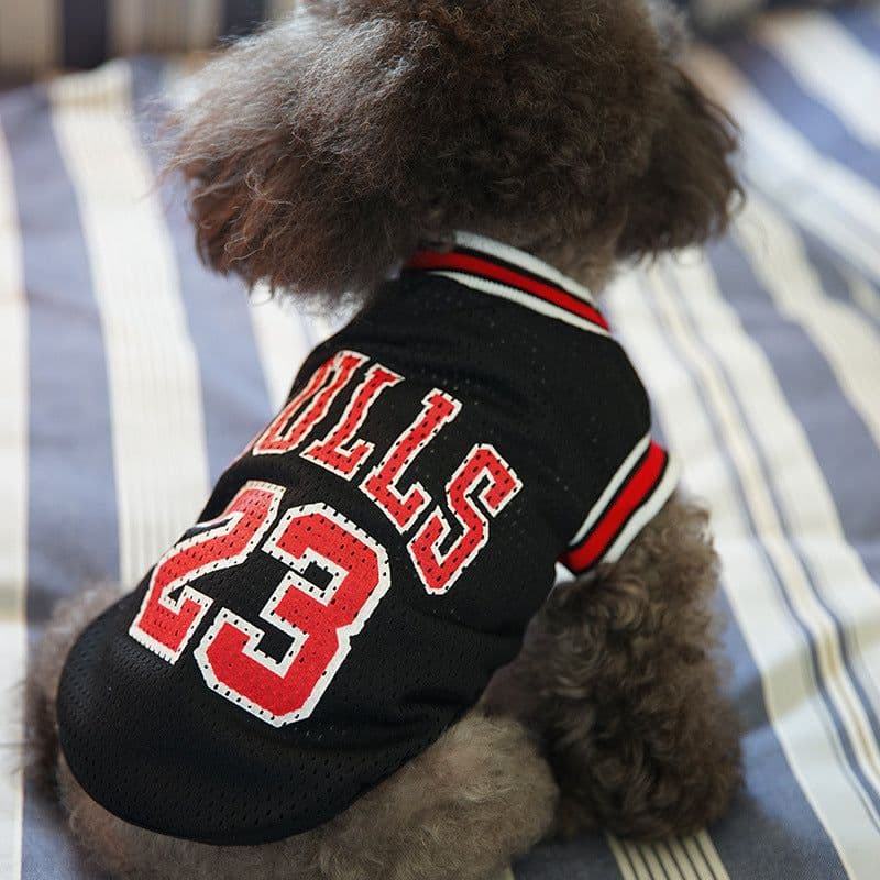 image-Halloween Pet Cosplay Costume Cat & Dog Outfits- Basketball LOVE