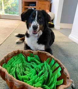 image-New Interactive Puzzle Toys Encourage Natural Foraging Skills Portable Nonslip Pet Snuffle Mat Slow Feeder Easy To Clean