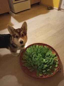 image-New Interactive Puzzle Toys Encourage Natural Foraging Skills Portable Nonslip Pet Snuffle Mat Slow Feeder Easy To Clean