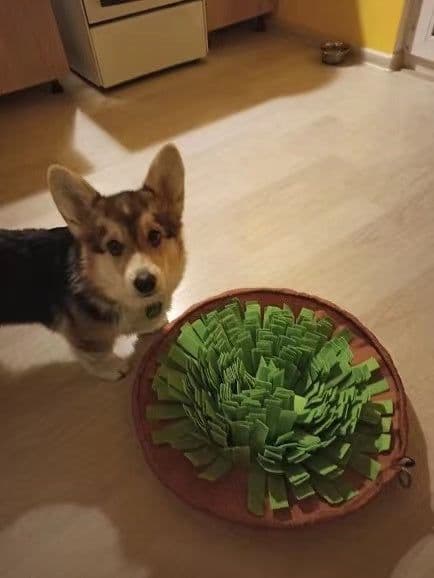 image-New Interactive Puzzle Toys Encourage Natural Foraging Skills Portable Nonslip Pet Snuffle Mat Slow Feeder Easy To Clean