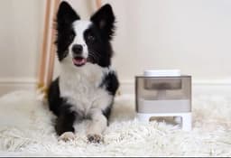 image-Interactive Pets Leaking Toy Original Funny Pets Food Feeder Dispenser Slow Food Feeding Container Toy for Pets Products