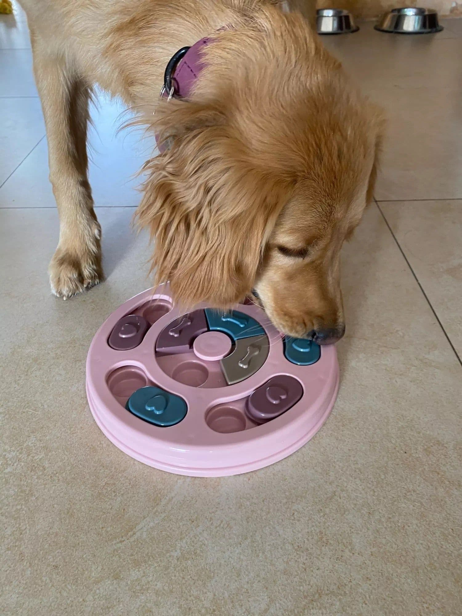 image-New Interactive Toy IQ Training Pets Slow Feeder Bowl Puzzle Eating Toys for Dogs and Cats