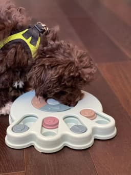 image-New Interactive Toy IQ Training Pets Slow Feeder Bowl Puzzle Eating Toys for Dogs and Cats