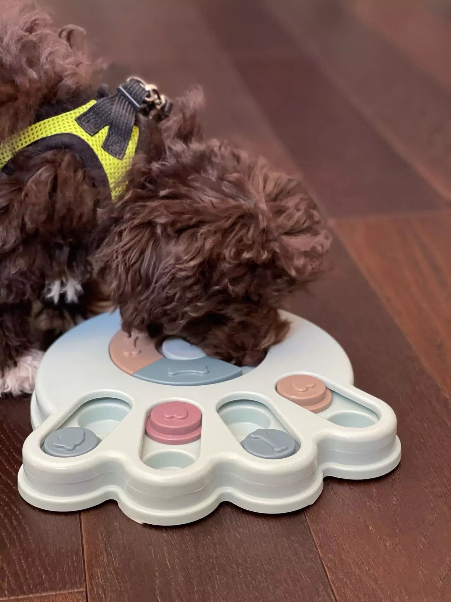 image-New Interactive Toy IQ Training Pets Slow Feeder Bowl Puzzle Eating Toys for Dogs and Cats