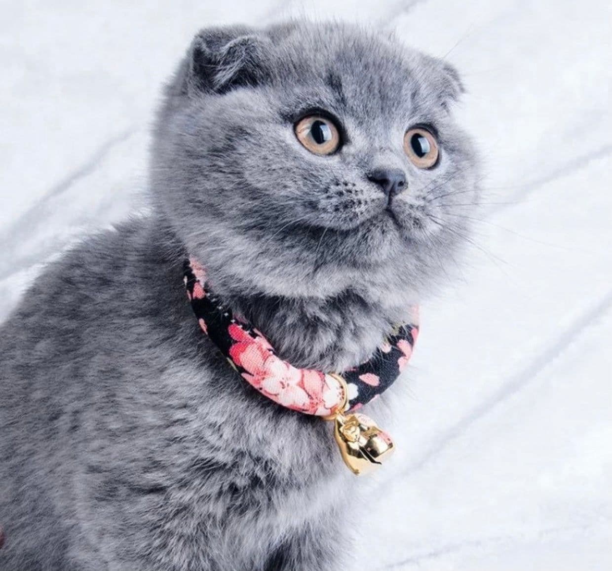image-Florence Pink Cotton collar For CATS & DOGS ????Japanese style collar????Handmade Pets Collar and Pets bell~Sakura Handmade????