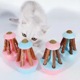 image-Catnip toys