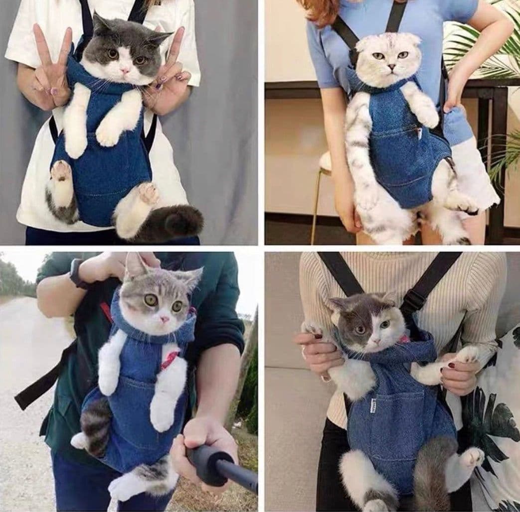 image-Adorable denim Carriers for cats and dogs