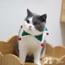 image-Christmas handmade collars