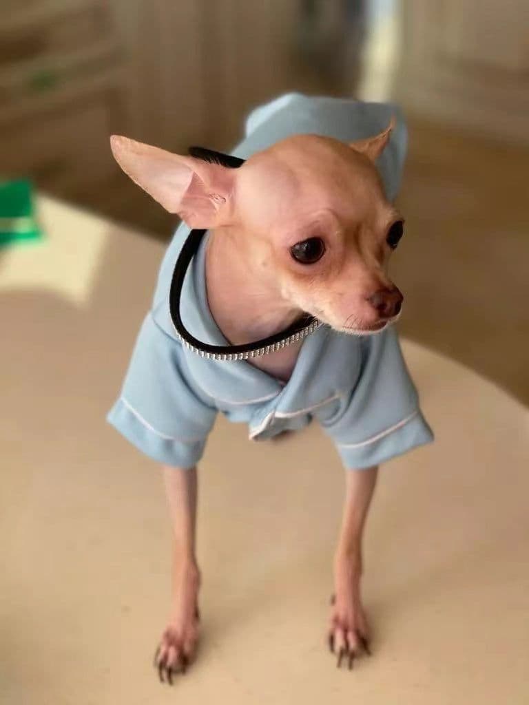 image-Pet Pajama
