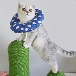 image-Cat Kicker Pillow With Catnip