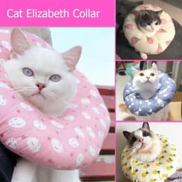image-Cat Kicker Pillow With Catnip