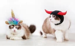 image-"Unicorn VS Devil" Pets Halloween Costume Hats