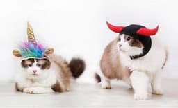 image-"Unicorn VS Devil" Pets Halloween Costume Hats