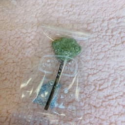 image-Catwort lollipop