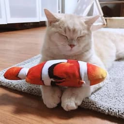 image-Catnip Fish with sound for Pets