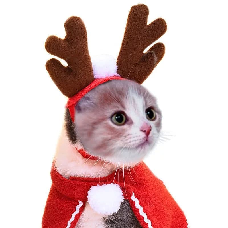 image-Cloak for pets