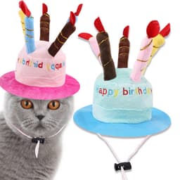 image-Birthday hat for pets