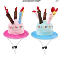 image-Birthday hat for pets