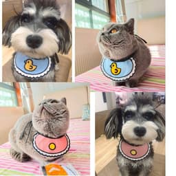 image-Duck bibs for dogs