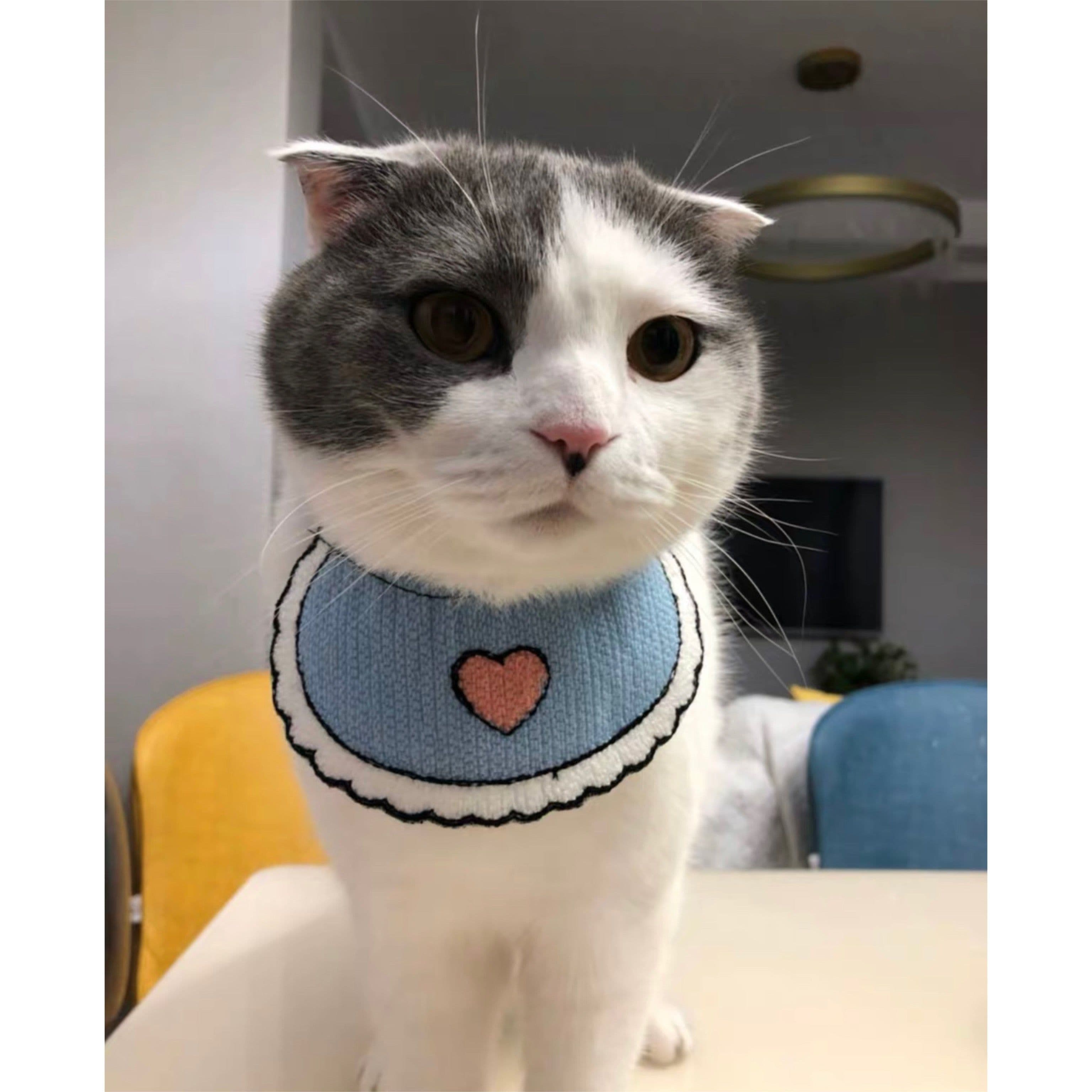 image-Love Blue Bibs for Cats