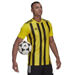 image-Adidas Striped 21 JSY M GV1378 Tee
