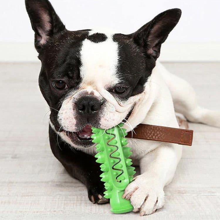 image-Dog Molar Toothbrush Toys Chew Cleaning Teeth Elasticity Soft Puppy Dental Care Extra-tough Pet Cleaning Toy Supplies Dog toys