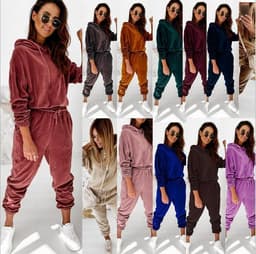 image-Cross-border trend two-piece set for fall 2021 new Amazon pure color gold velvet hooded long-sleeved casual suit women