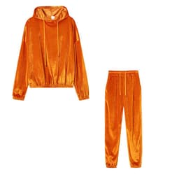 image-Cross-border trend two-piece set for fall 2021 new Amazon pure color gold velvet hooded long-sleeved casual suit women