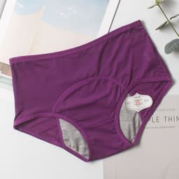 image-Foreign trade cross-border large size physiological pants before and after menstrual period leak-proof mid-high waist vent hole aunt sanitary pants underwear women