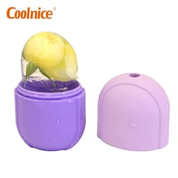 image-Foreign trade new face massage ice tray ice roller face ice ice roller spot can be customized logo