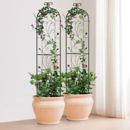 image-VEVOR Garden Trellis for Climbing Plants, 60 x 15 in, 2 Packs Rustproof Metal Garden Flower Trellis, Outdoor Climbing Rose Trellis Cucumbers Support, Decorative Clematis Trellis for Courtyards Lawns