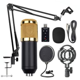 image-Factory supply BM800 with reverberation condenser microphone free independent sound card free 48V phantom power set