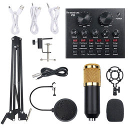 image-Factory supply BM800 with reverberation condenser microphone free independent sound card free 48V phantom power set