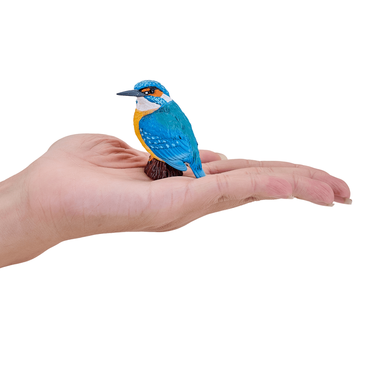 image-Kingfisher Bird Toy Realistic Wildlife Figurine