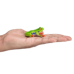image-Red-Eyed Tree Frog Toy Realistic Rainforest Amphibian Figure