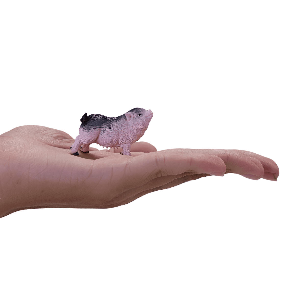 image-Pot-Bellied Piglet Toy Realistic Farm Animal Model