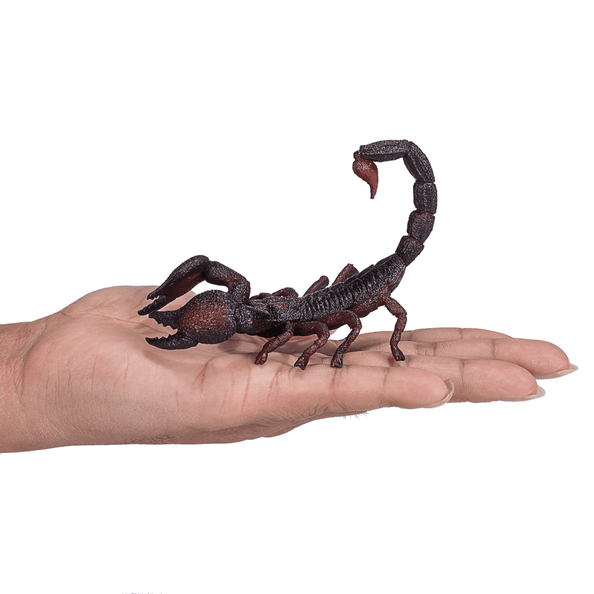 image-Emperor Scorpion Toy Realistic Insect Model