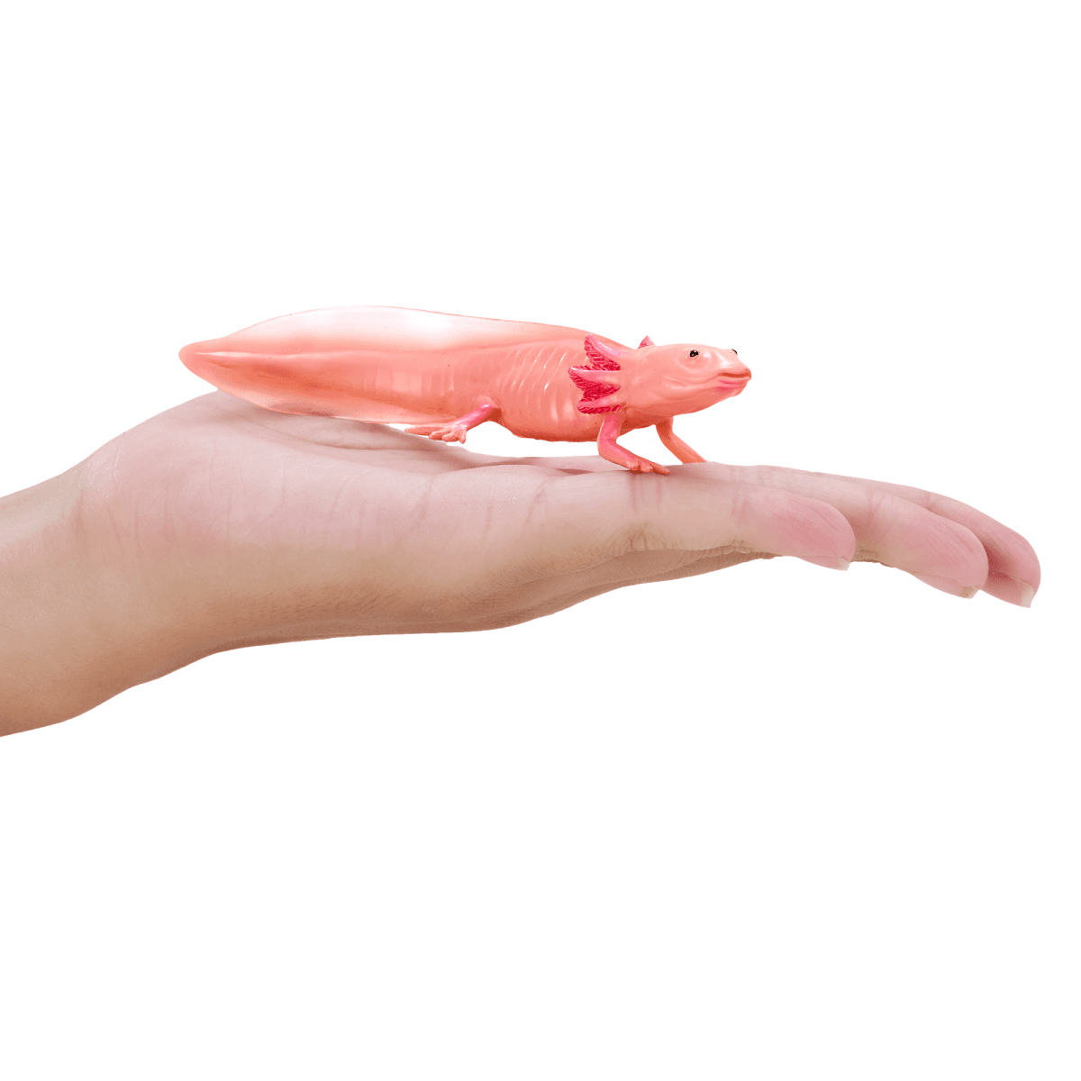 image-Axolotl Toy Realistic Amphibian Figurine