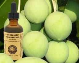 image-Virgin Tamanu Oil (organic, undiluted, unrefined)