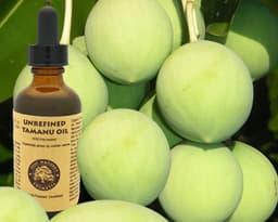 image-Virgin Tamanu Oil (organic, undiluted, unrefined)