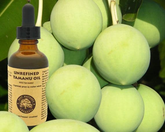 image-Virgin Tamanu Oil (organic, undiluted, unrefined)