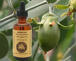 image-100% Pure Organic Virgin Jojoba Oil. Natural